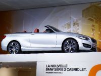 BMW 2-Series Convertible Paris (2014)