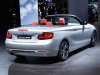 BMW 2-Series Convertible Paris (2014)