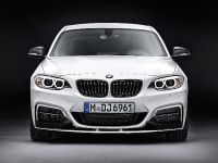 BMW 2 Series Coupe M Performance (2014) - picture 1 of 19