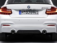 BMW 2 Series Coupe M Performance (2014) - picture 19 of 19