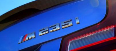 BMW 2-Series M235i Track Edition (2014) - picture 4 of 14