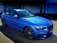 BMW 2-Series M235i Track Edition (2014) - picture 1 of 14