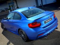 BMW 2-Series M235i Track Edition (2014) - picture 2 of 14