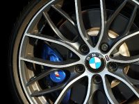 BMW 2-Series M235i Track Edition (2014) - picture 6 of 14