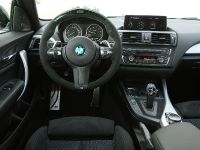 BMW 2-Series M235i Track Edition (2014) - picture 7 of 14