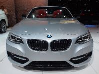 BMW 228i Convertible Los Angeles (2014)