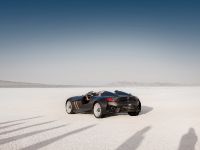 BMW 328 Hommage (2011)