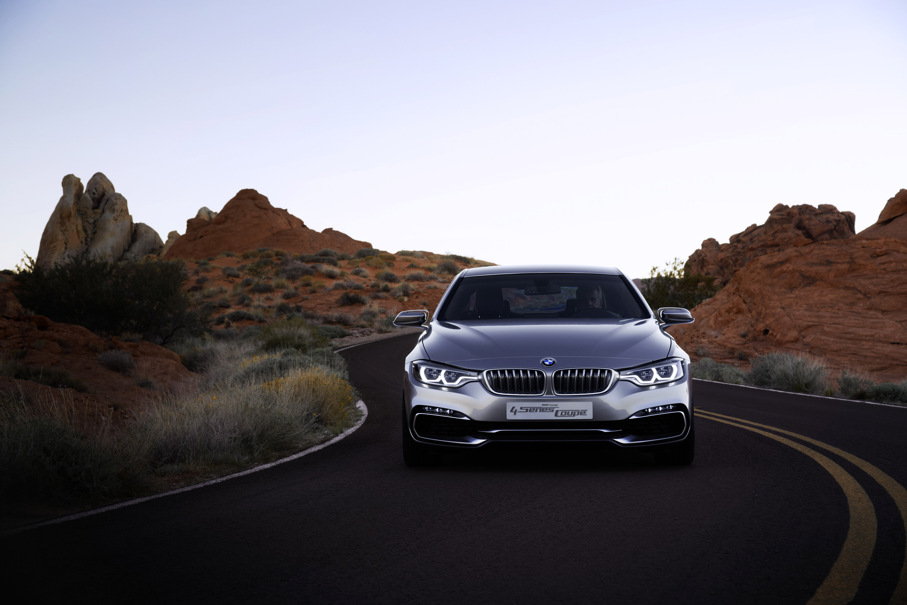 BMW 4-Series Coupe Concept F32