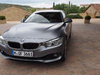 BMW 4-Series Gran Coupe Individual Frozen Cashmere Silver (2014) - picture 3 of 10