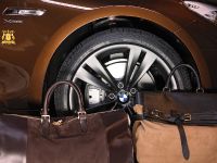 BMW 5er Gran Turismo Trussardi (2011) - picture 13 of 18