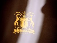 BMW 5er Gran Turismo Trussardi (2011) - picture 14 of 18