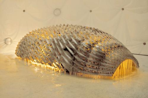 BMW Art Car Collection (2011) - picture 8 of 8