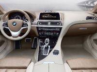 BMW Concept 6 Series Coupe (2010)