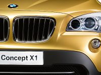 BMW Concept X1 (2008) - picture 11 of 12