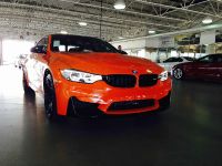 BMW F83 M4 Limerock Special Edition (2014) - picture 1 of 5