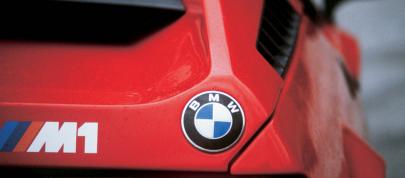 BMW M1 Procar (2008) - picture 7 of 16
