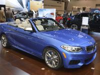 BMW M235i Convertible Chicago (2015)