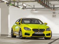 BMW M6 RS800 Gran Coupe by PP-Performance (2014) - picture 1 of 12