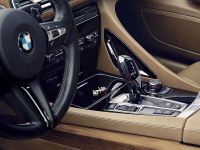 BMW Pininfarina Gran Lusso Coupe Concept (2013)