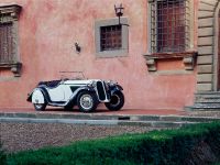 BMW Roadster 315/1 (1934) - picture 1 of 6