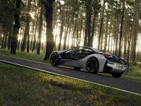 BMW Vision EfficientDynamics Concept (2009)