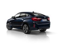 BMW X5 M and X6 M Individual (2014) - picture 2 of 4