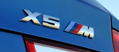 BMW X5 M (2010) - picture 20 of 25