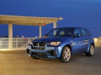 BMW X5 M (2010) - picture 1 of 25