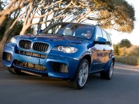 BMW X5 M (2010) - picture 10 of 25