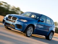 BMW X5 M (2010) - picture 11 of 25