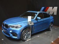 BMW X6 M Chicago 2015