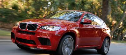 BMW X6 M (2010) - picture 15 of 34