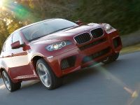 BMW X6 M (2010) - picture 6 of 34