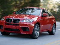 BMW X6 M (2010) - picture 14 of 34