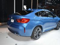 BMW X6M Los Angeles (2014)