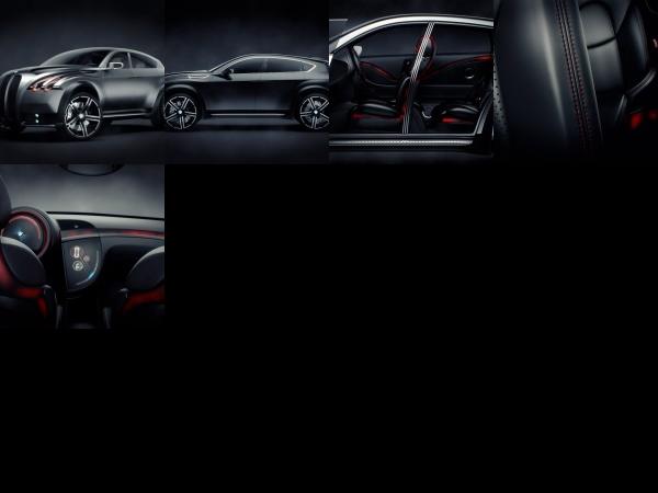 BMW XS Concept (2012) - picture 1 of 5