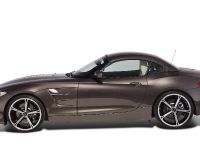 AC Schnitzer BMW Z4 (2009) - picture 5 of 13