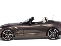 AC Schnitzer BMW Z4 (2009) - picture 6 of 13