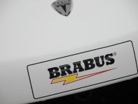 BRABUS Tesla Roadster (2009) - picture 14 of 30