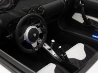BRABUS Tesla Roadster (2009) - picture 27 of 30
