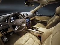 BRABUS WIDESTAR Mercedes-Benz M-Class Facelift Version (2009) - picture 18 of 21