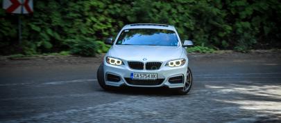 Budget BMW M3 M235i (2014) - picture 4 of 20