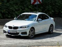 Budget BMW M3 M235i (2014) - picture 3 of 20