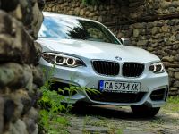 Budget BMW M3 M235i (2014) - picture 8 of 20