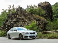 Budget BMW M3 M235i (2014) - picture 13 of 20