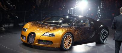 Bugatti Grand Sport Venet Geneva (2013) - picture 4 of 4