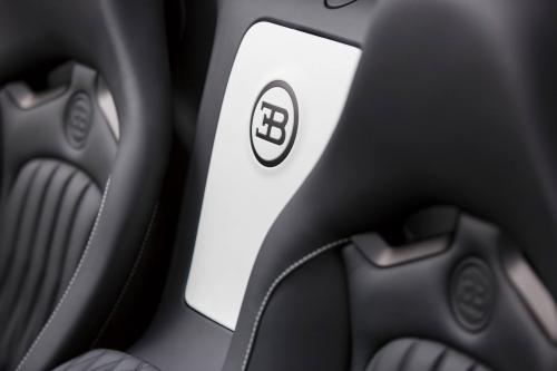 Bugatti Grand Sport Vitesse Lang Lang Special Edition (2013) - picture 9 of 10