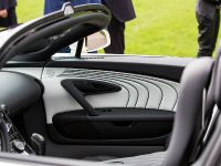 Bugatti Grand Sport Vitesse Lang Lang Special Edition (2013) - picture 10 of 10