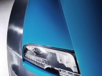 Bugatti Veyron 16.4 Grand Sport Vitesse Meo Costantini (2013) - picture 10 of 18