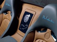 Bugatti Veyron 16.4 Grand Sport Vitesse Meo Costantini (2013)